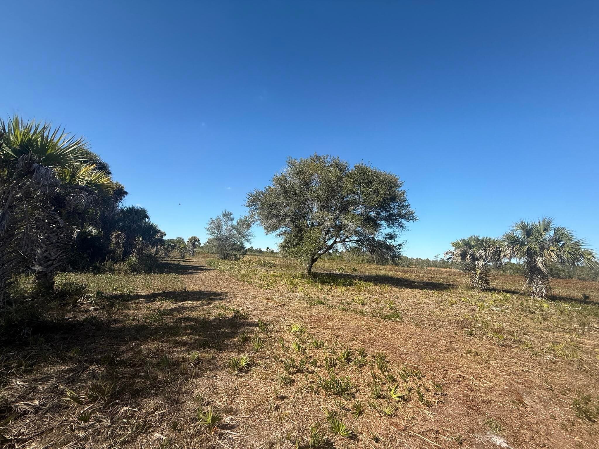 17065 NW 306th Street, Okeechobee, FL 34972 — photo 8 of 16