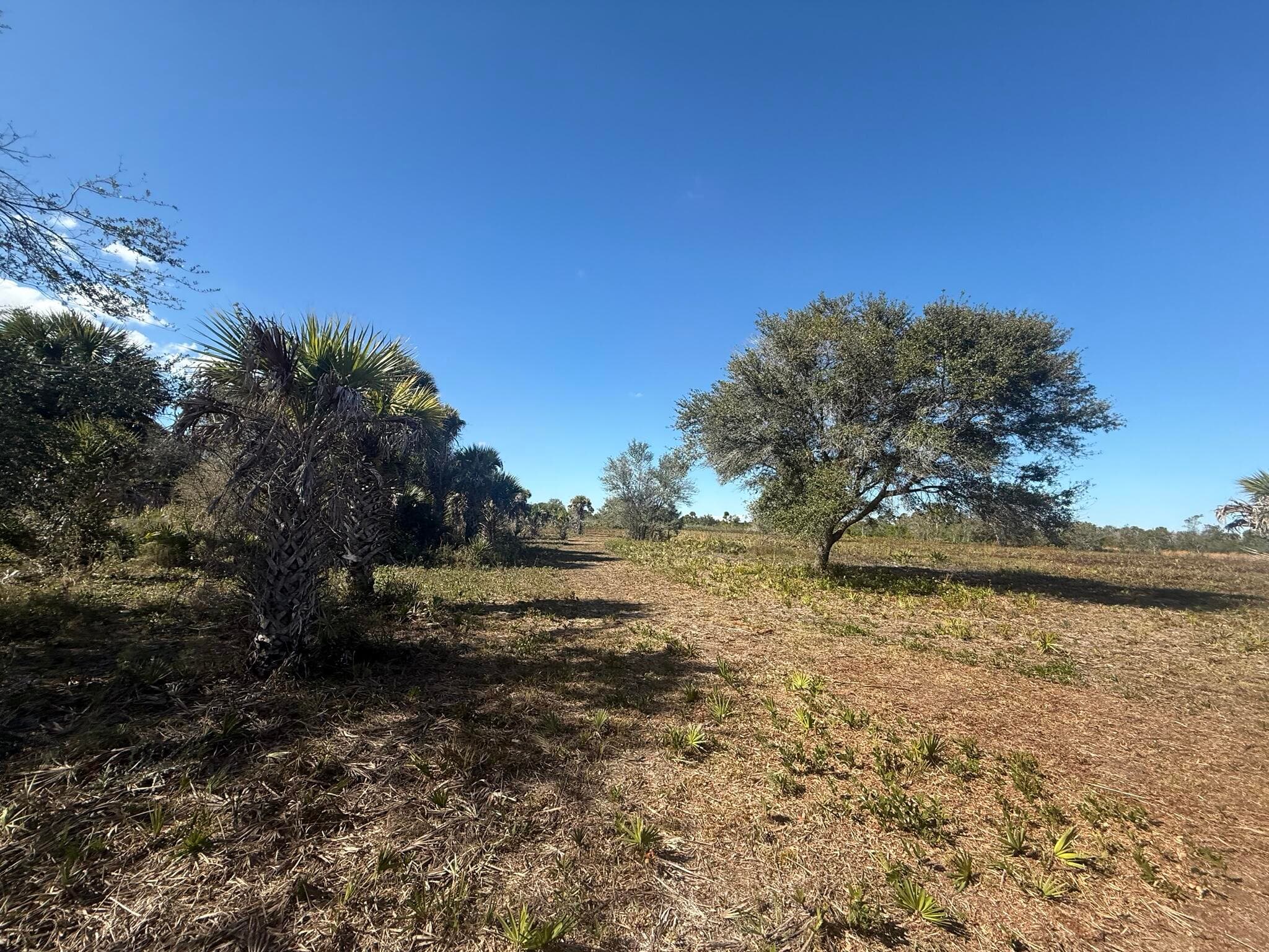 17065 NW 306th Street, Okeechobee, FL 34972 — photo 9 of 16