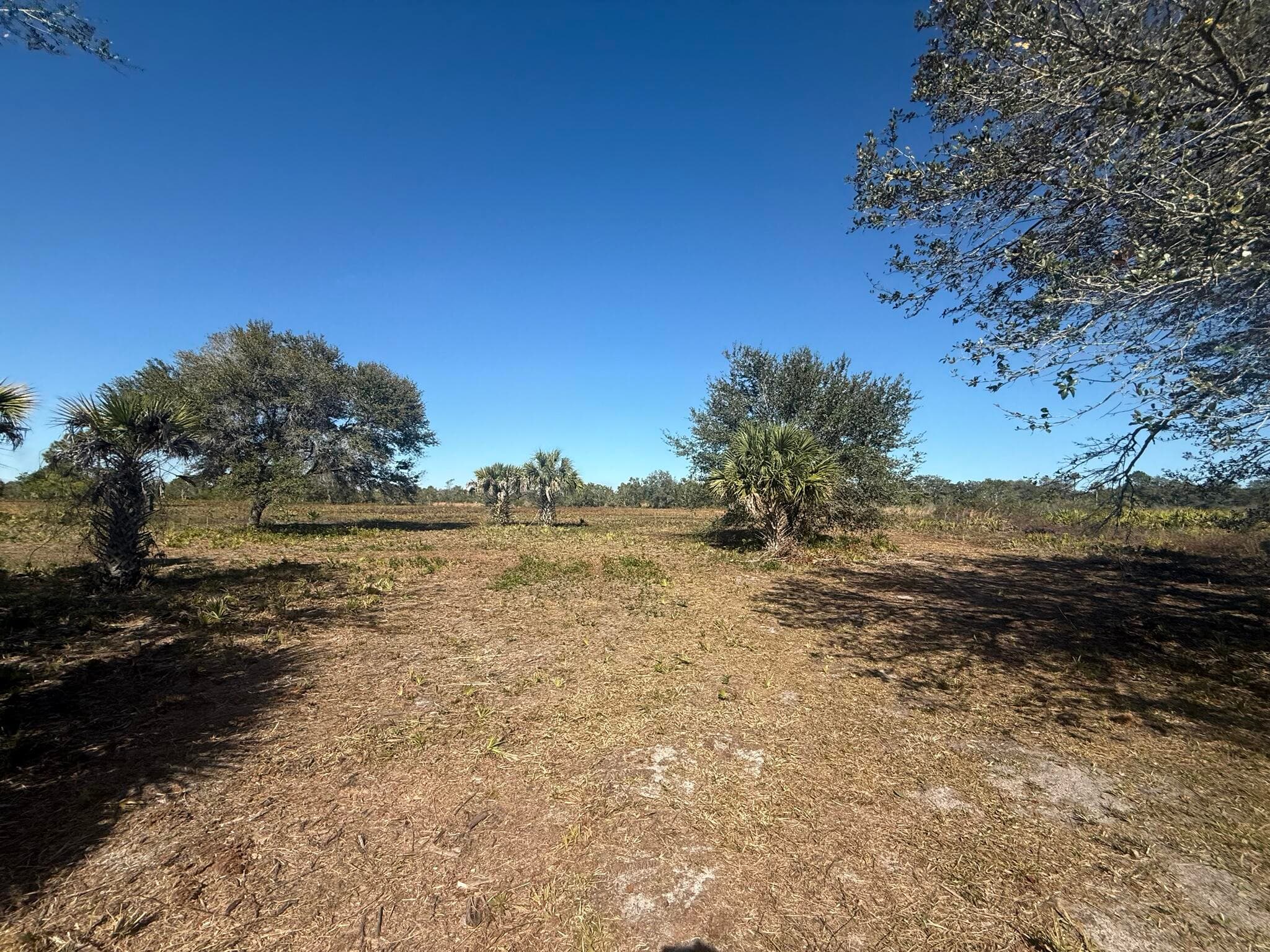 17065 NW 306th Street, Okeechobee, FL 34972 — photo 10 of 16