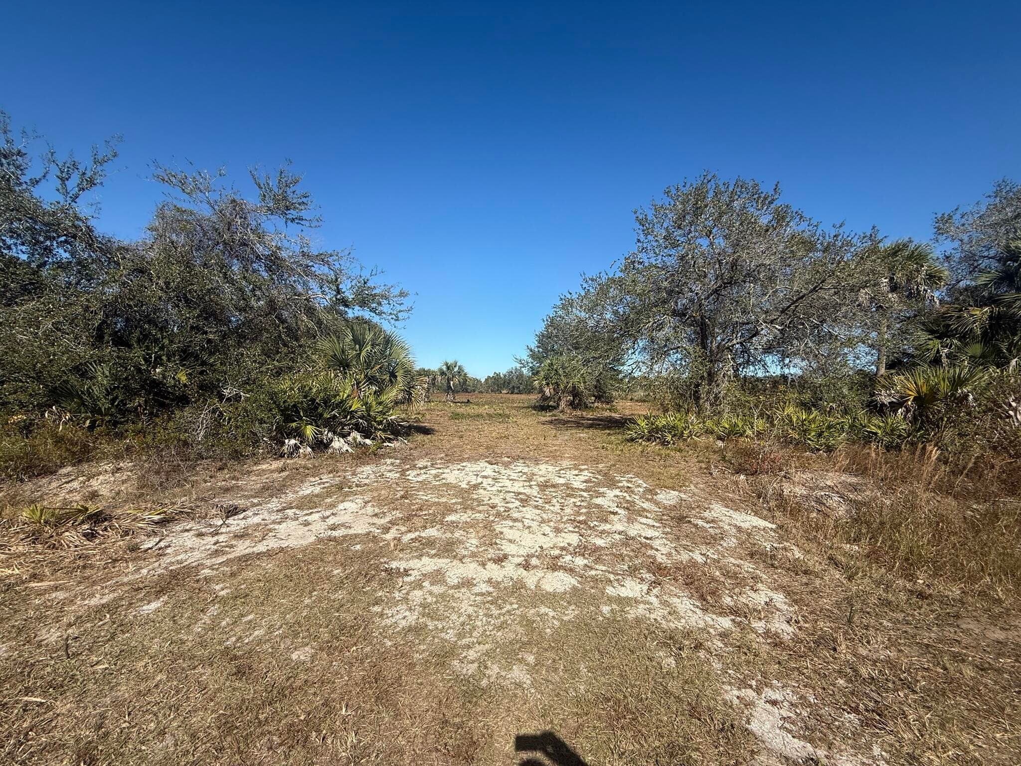 17065 NW 306th Street, Okeechobee, FL 34972 — photo 12 of 16