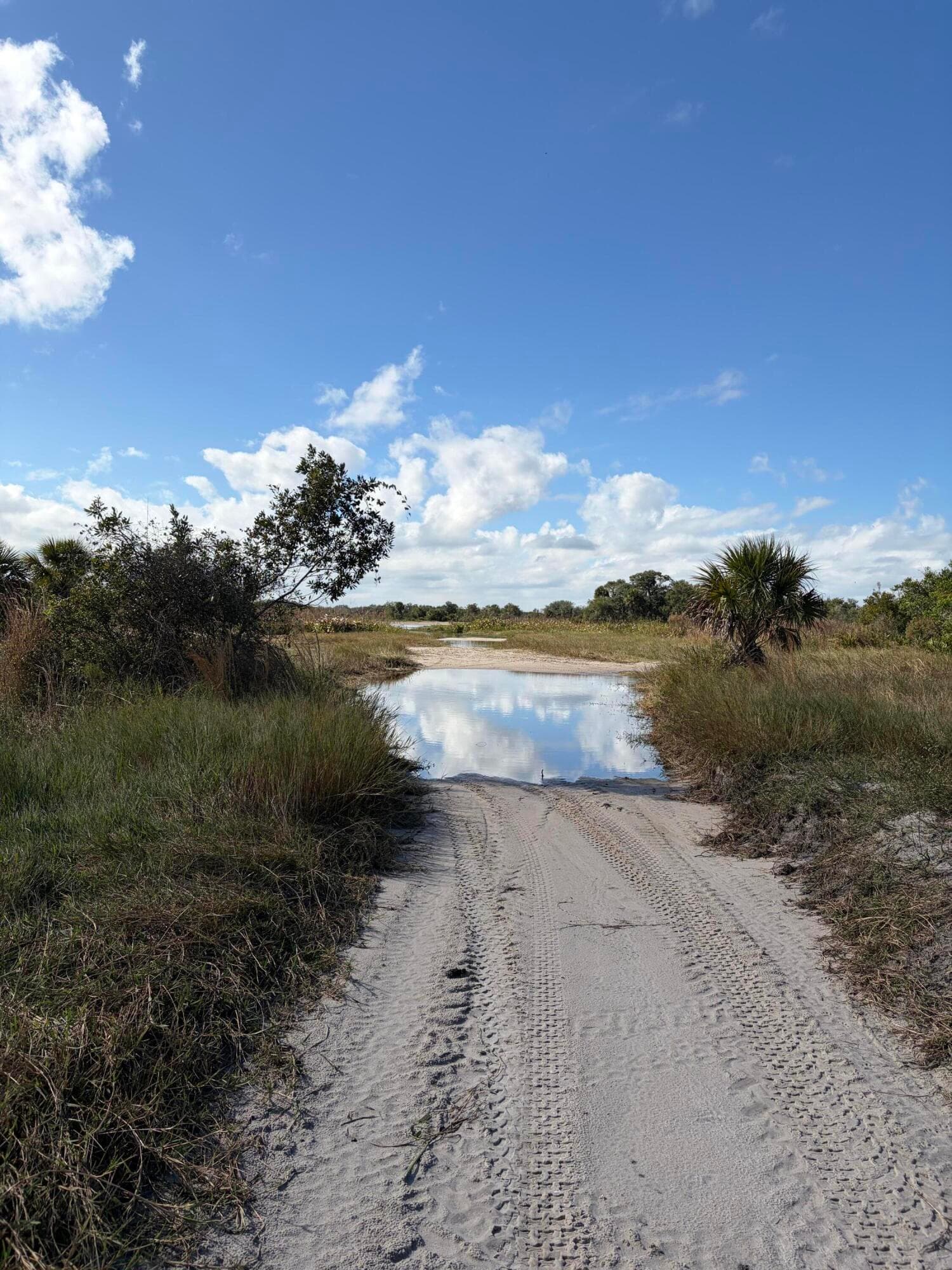 0 NW 308th Street, Okeechobee, FL 34972 — photo 5 of 7