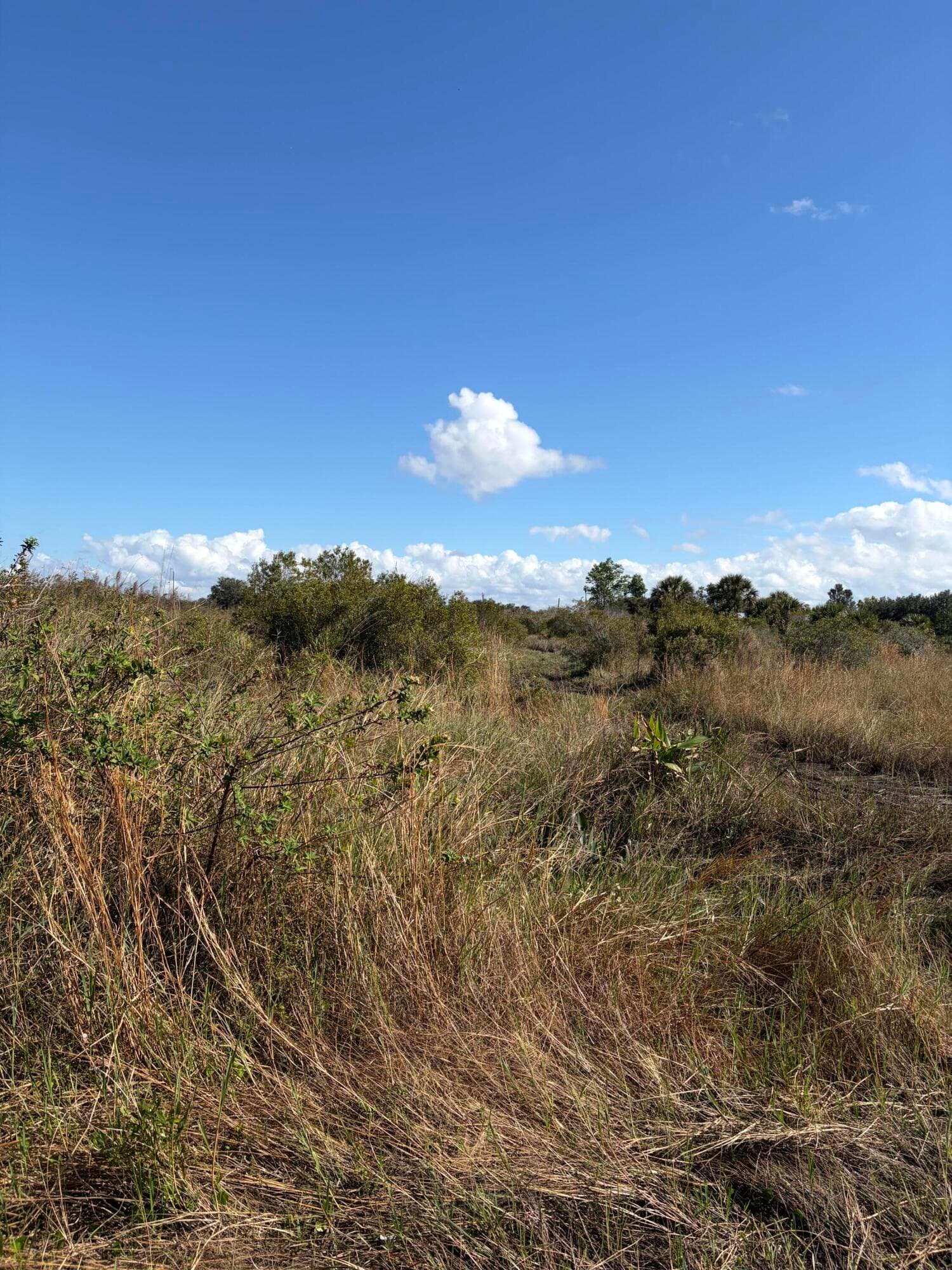 0 NW 308th Street, Okeechobee, FL 34972 — photo 7 of 7
