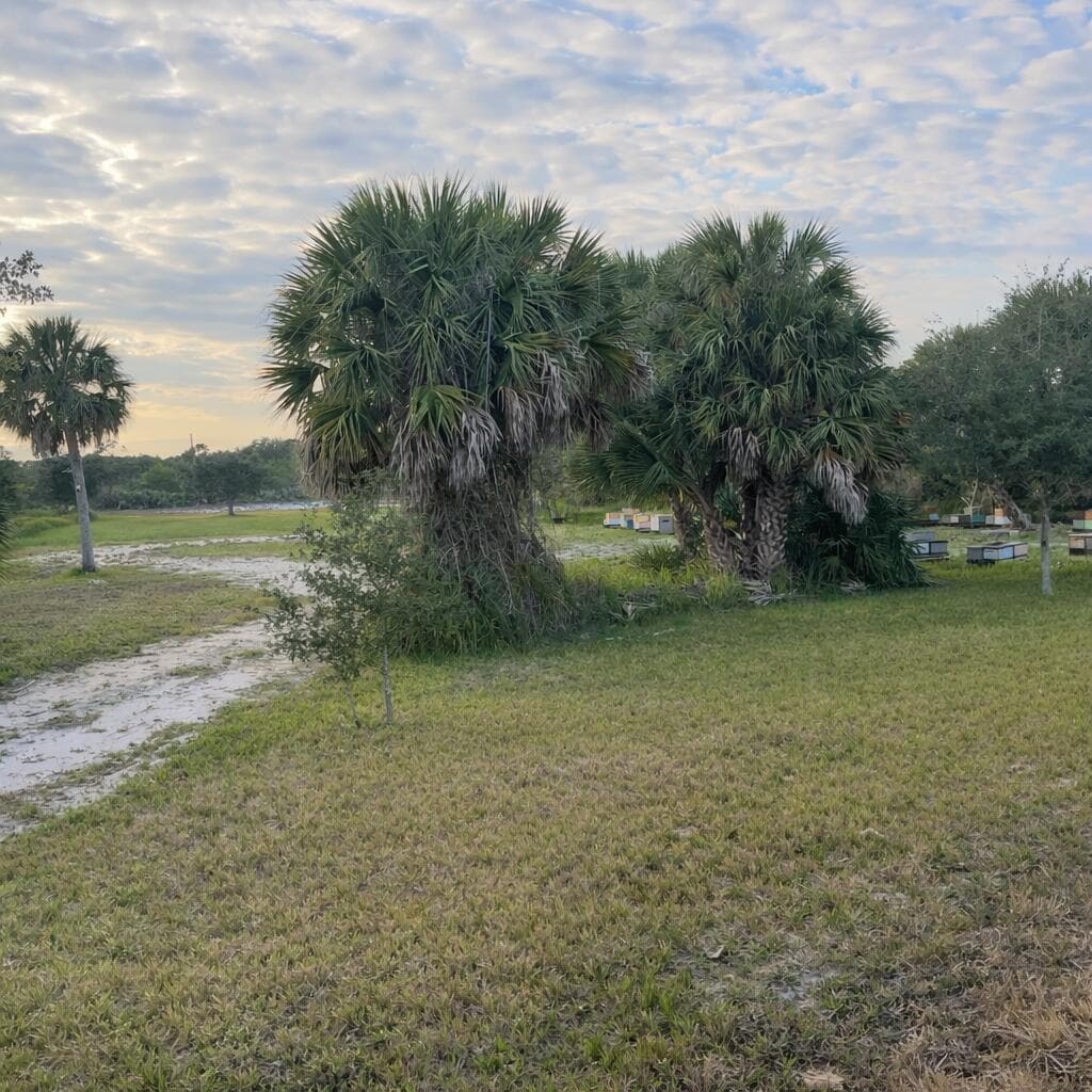 6440 Highway 1, Grant Valkaria, FL 32949 — photo 2 of 6