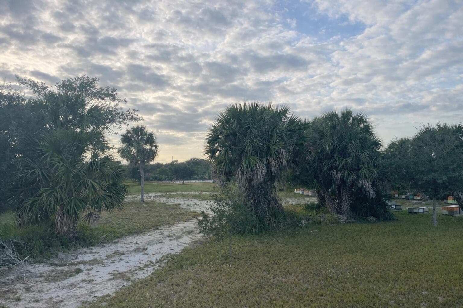 6440 Highway 1, Grant Valkaria, FL 32949 — photo 3 of 6