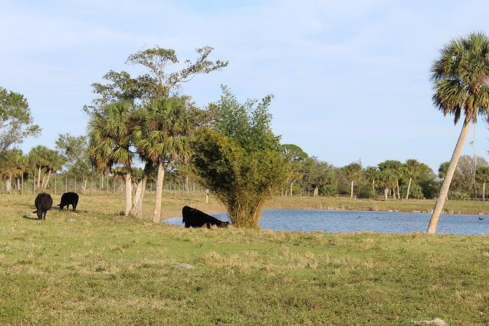 2410 S Brocksmith Road, Fort Pierce, FL 34945 — photo 44 of 65
