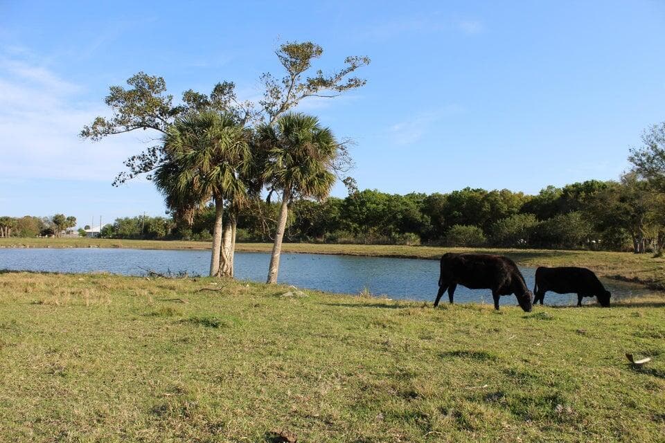 2410 S Brocksmith Road, Fort Pierce, FL 34945 — photo 43 of 65