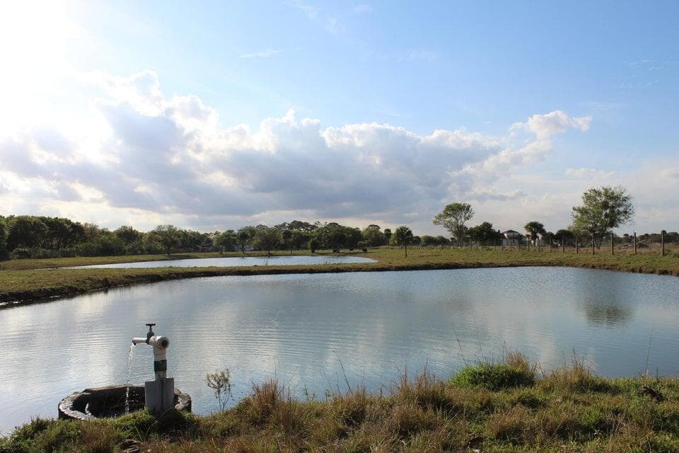 2410 S Brocksmith Road, Fort Pierce, FL 34945 — photo 37 of 65