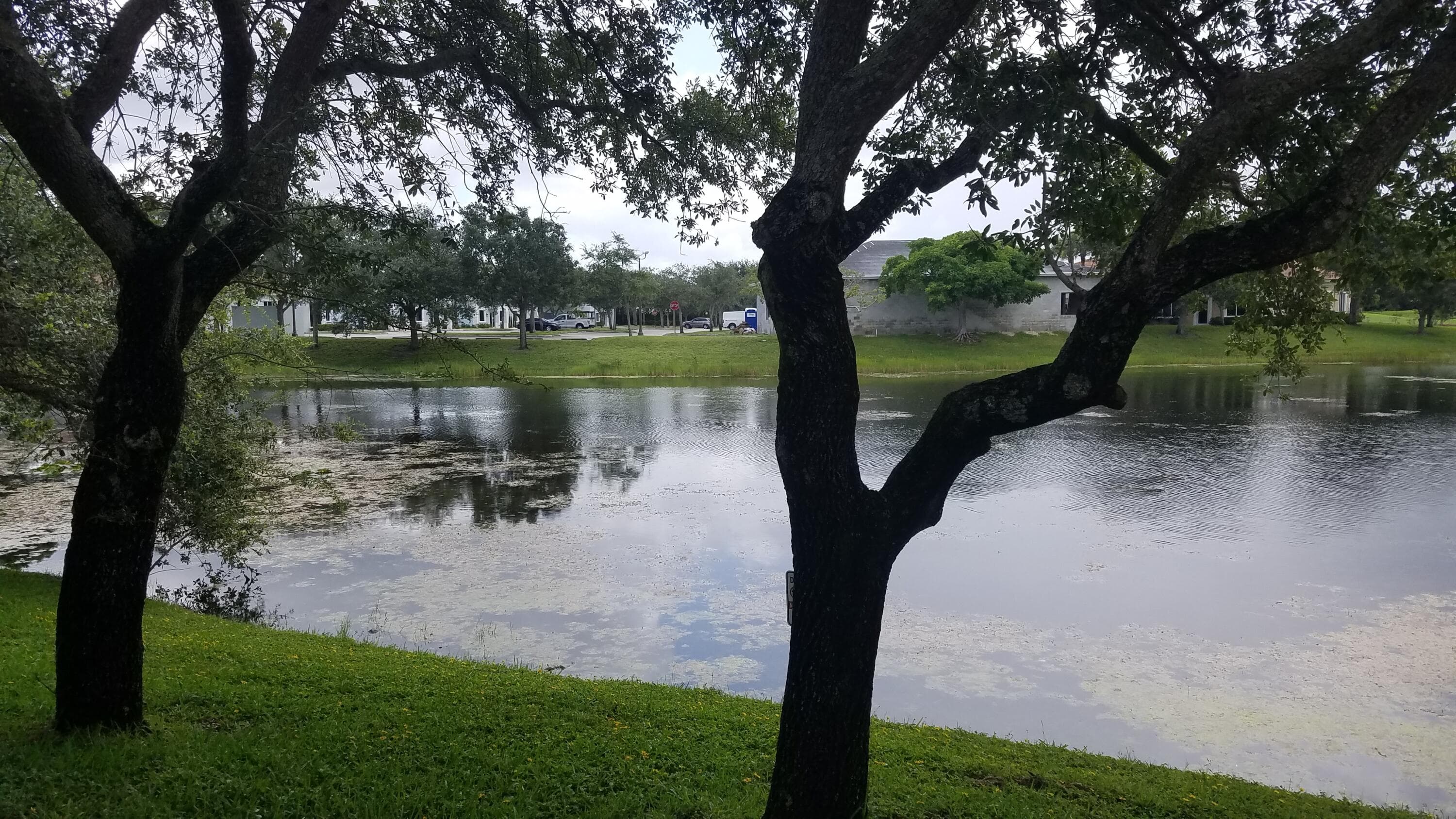 1402 Royal Palm Beach Boulevard 300, Royal Palm Beach, FL 33411 — photo 11 of 12