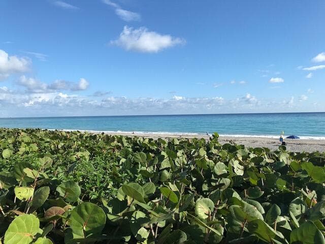1420 Ocean Way #29a, Jupiter, FL 33477 — photo 36 of 39
