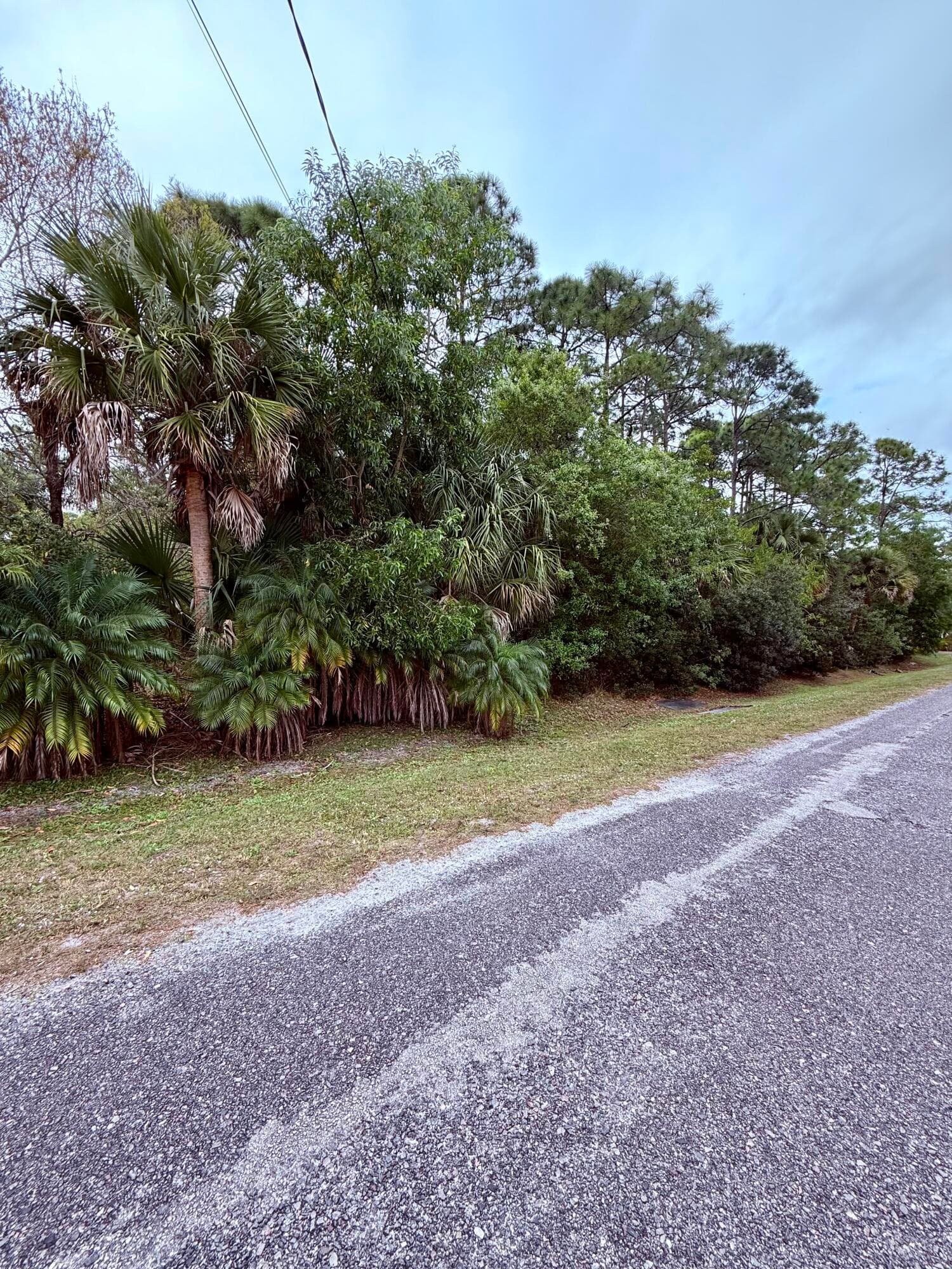0 Silver Oak Drive, Fort Pierce, FL 34982 — photo 3 of 4