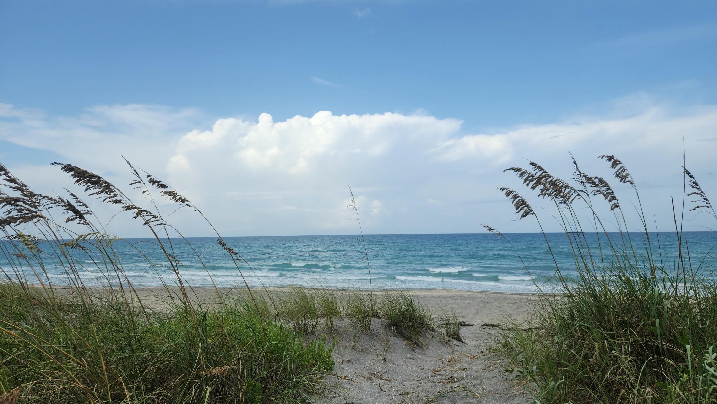 115 Olympus Way, Jupiter, FL 33477 — photo 3 of 44