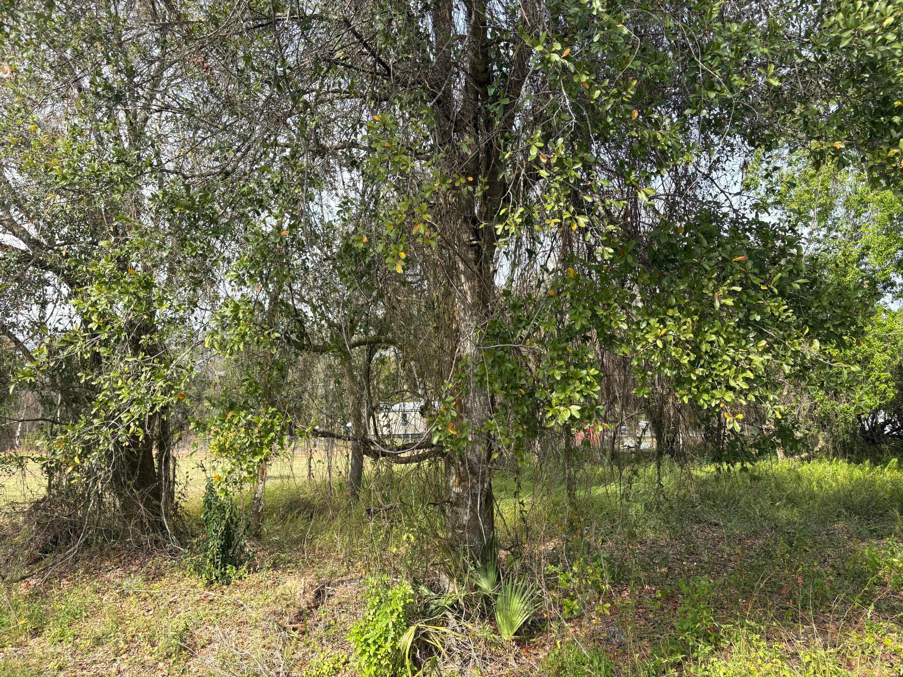 0 NW 1st Street, Okeechobee, FL 34972 — photo 8 of 12
