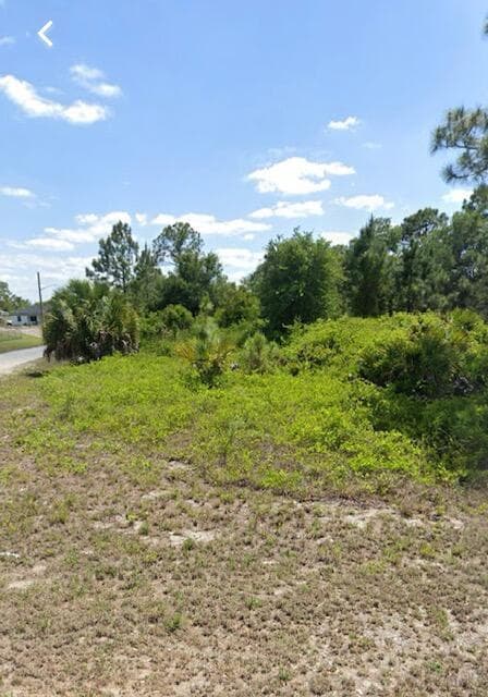 2515 54th Street W, Lehigh Acres, FL 33971 — photo 3 of 4
