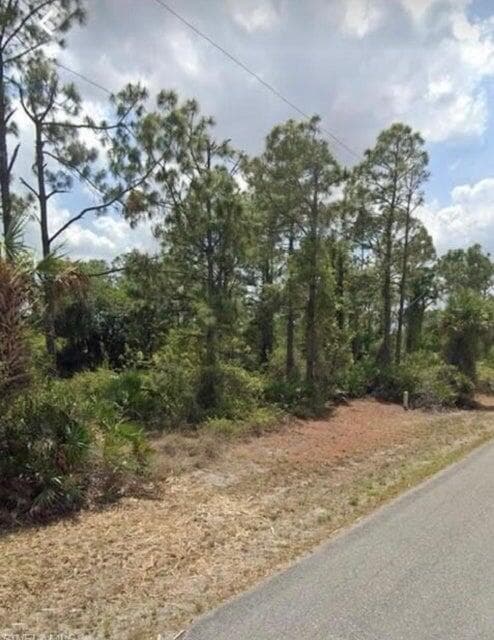 930 Kanuga Street E, Lehigh Acres, FL 33974 — photo 3 of 3
