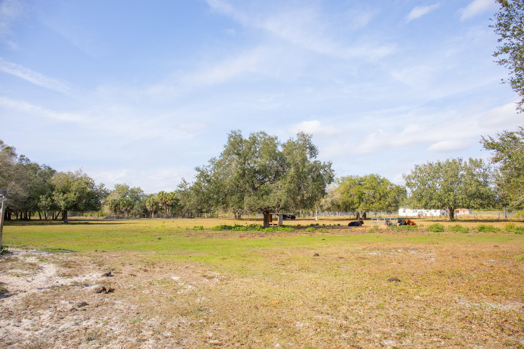 16112 NW 276th Street, Okeechobee, FL 34972 — photo 22 of 25