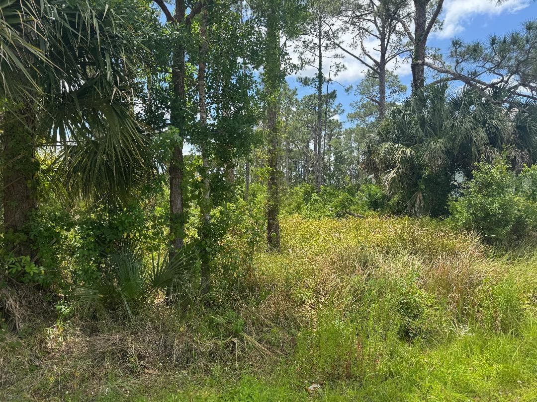 1458 Transcoro Street SE, Palm Bay, FL 32909 — photo 1 of 3