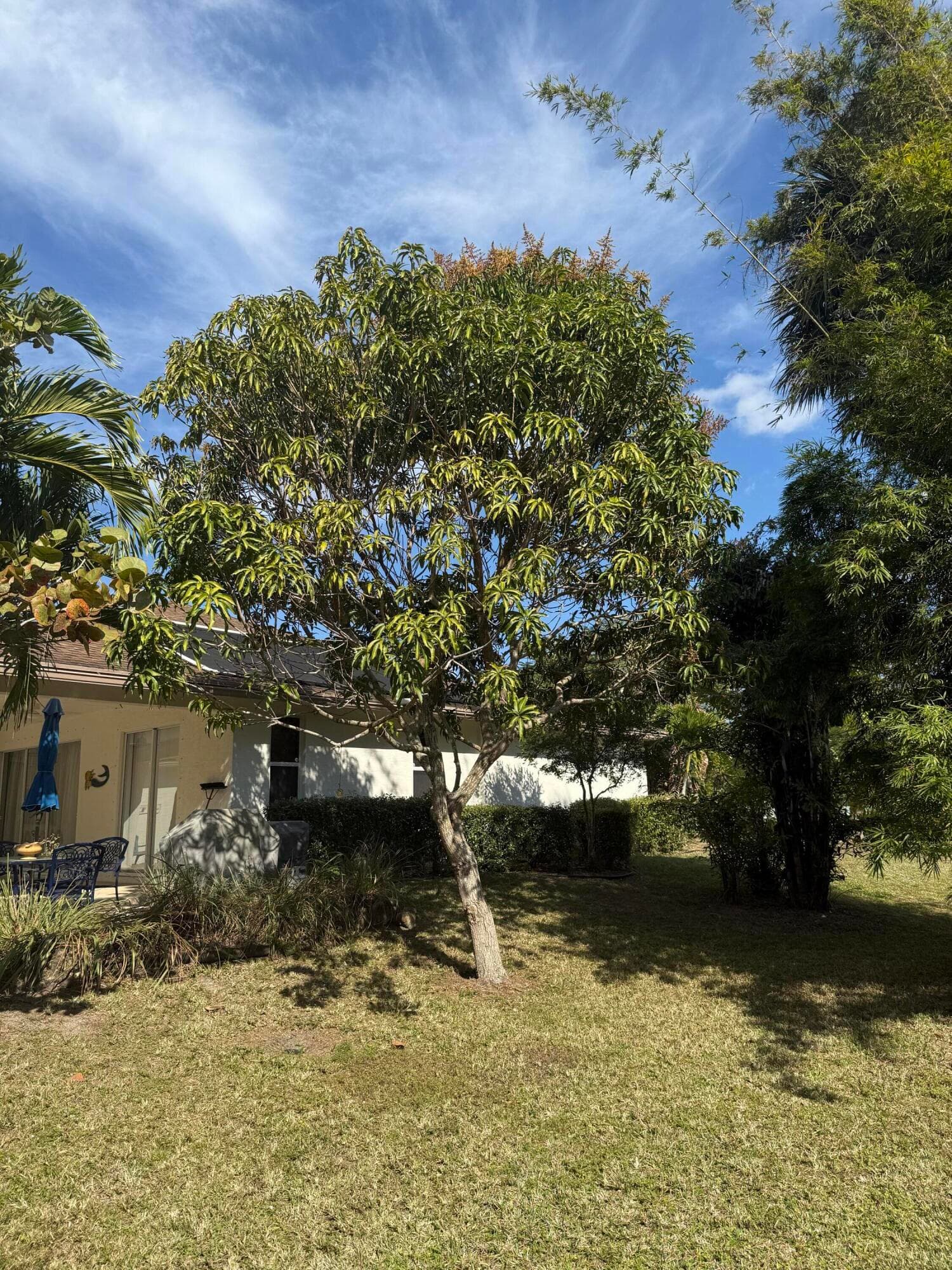 15119 98th Trail N, Jupiter, FL 33478 — photo 42 of 51