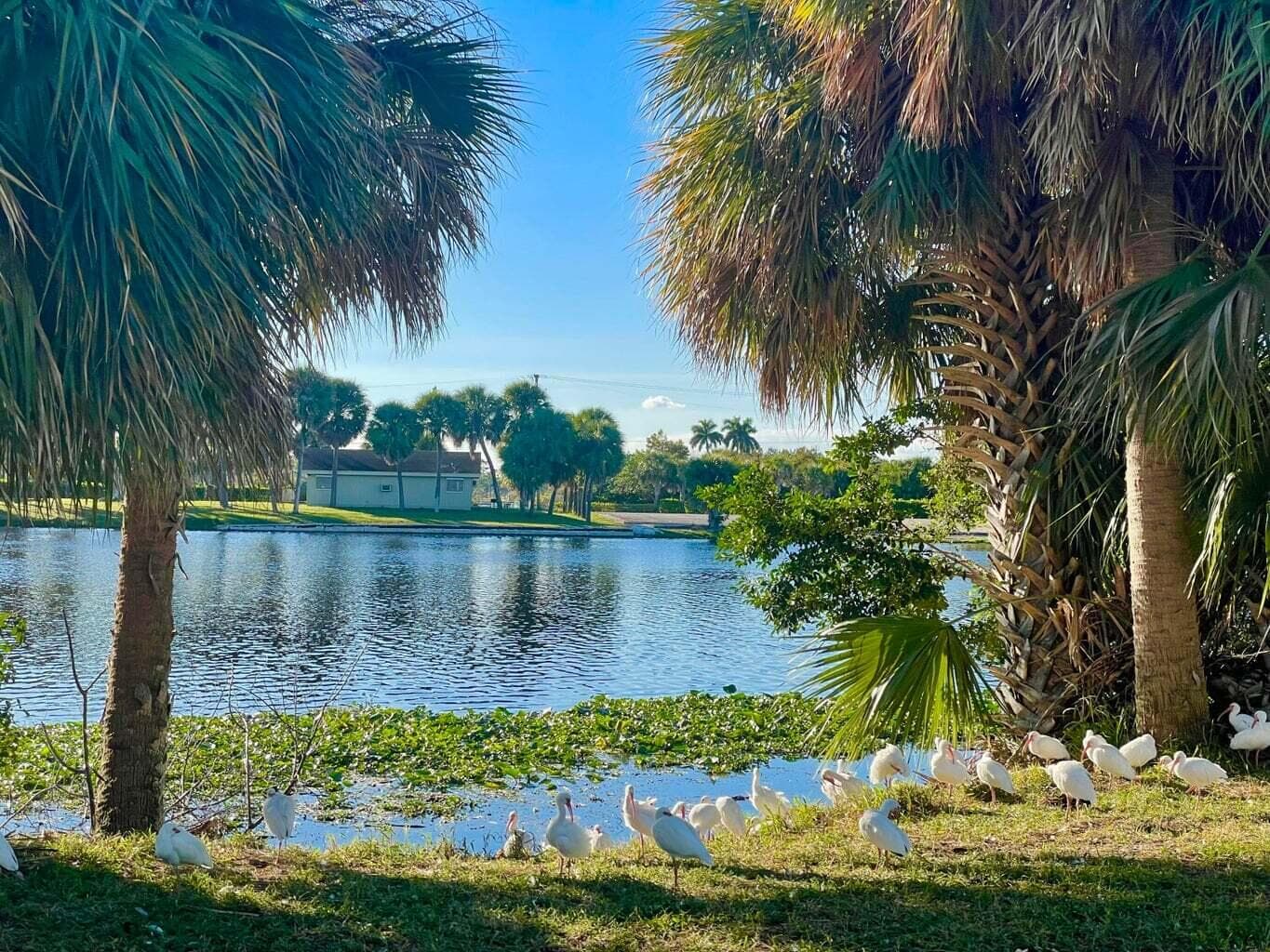2880 Lake Osborne Drive 205, Lake Worth Beach, FL 33461 — photo 29 of 29