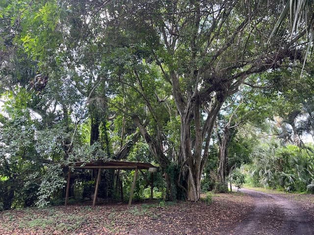 9538 171st Street N, Jupiter, FL 33478 — photo 8 of 22