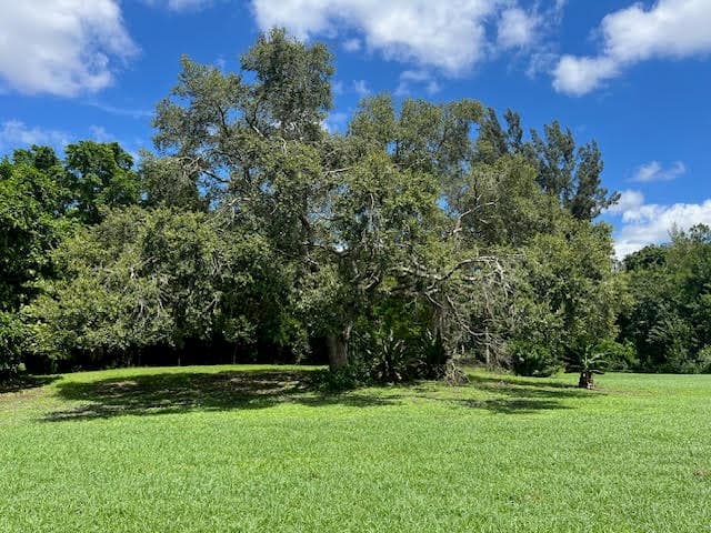 9538 171st Street N, Jupiter, FL 33478 — photo 13 of 22