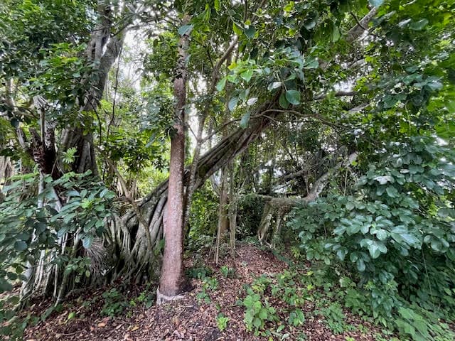 9538 171st Street N, Jupiter, FL 33478 — photo 15 of 22