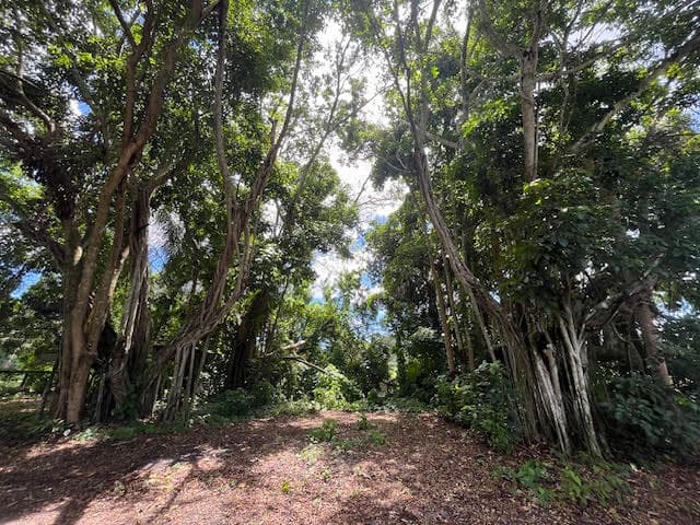 9538 171st Street N, Jupiter, FL 33478 — photo 17 of 22