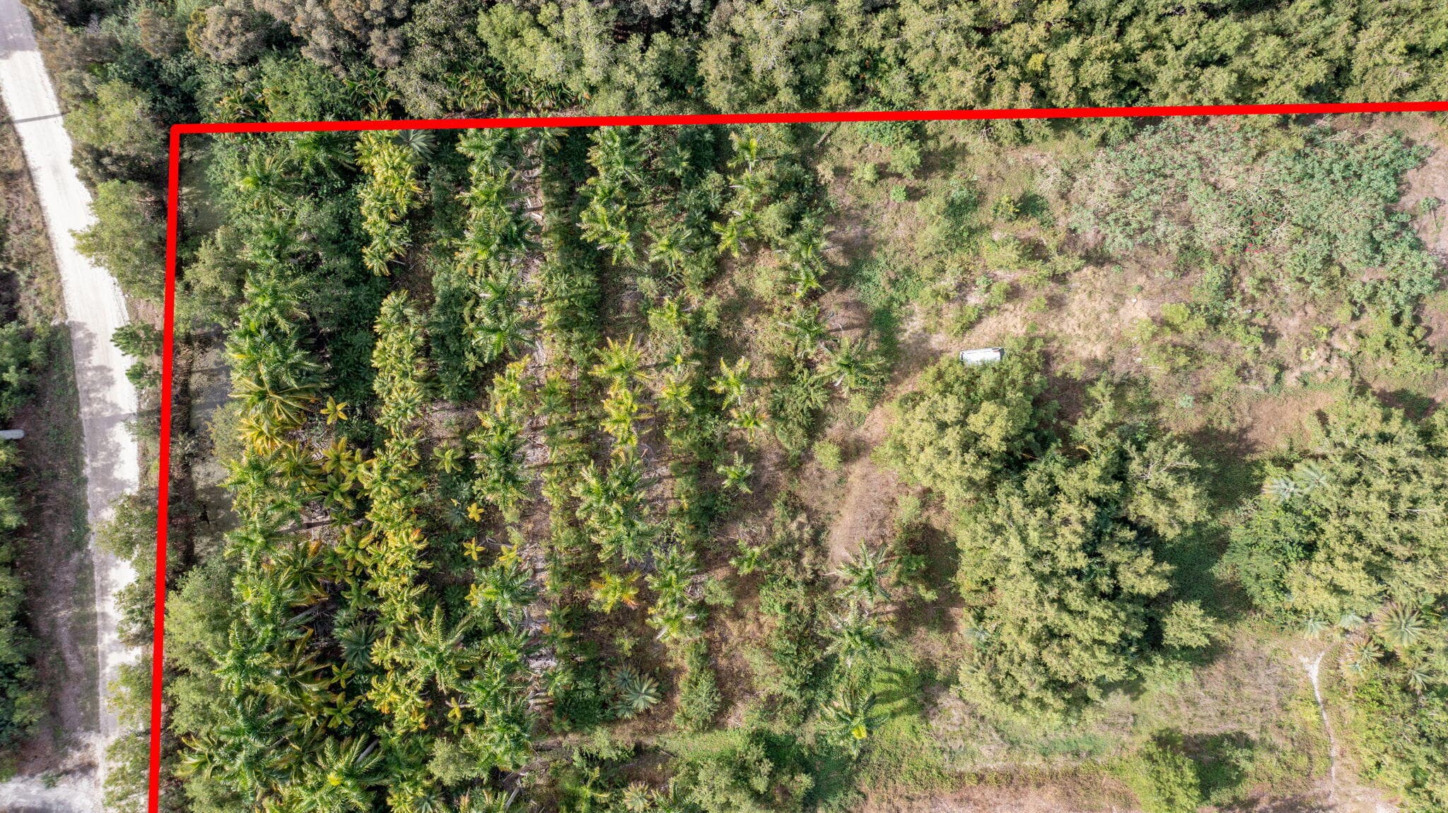 20199 Cole Lane, The Acreage, FL 33470 — photo 5 of 12