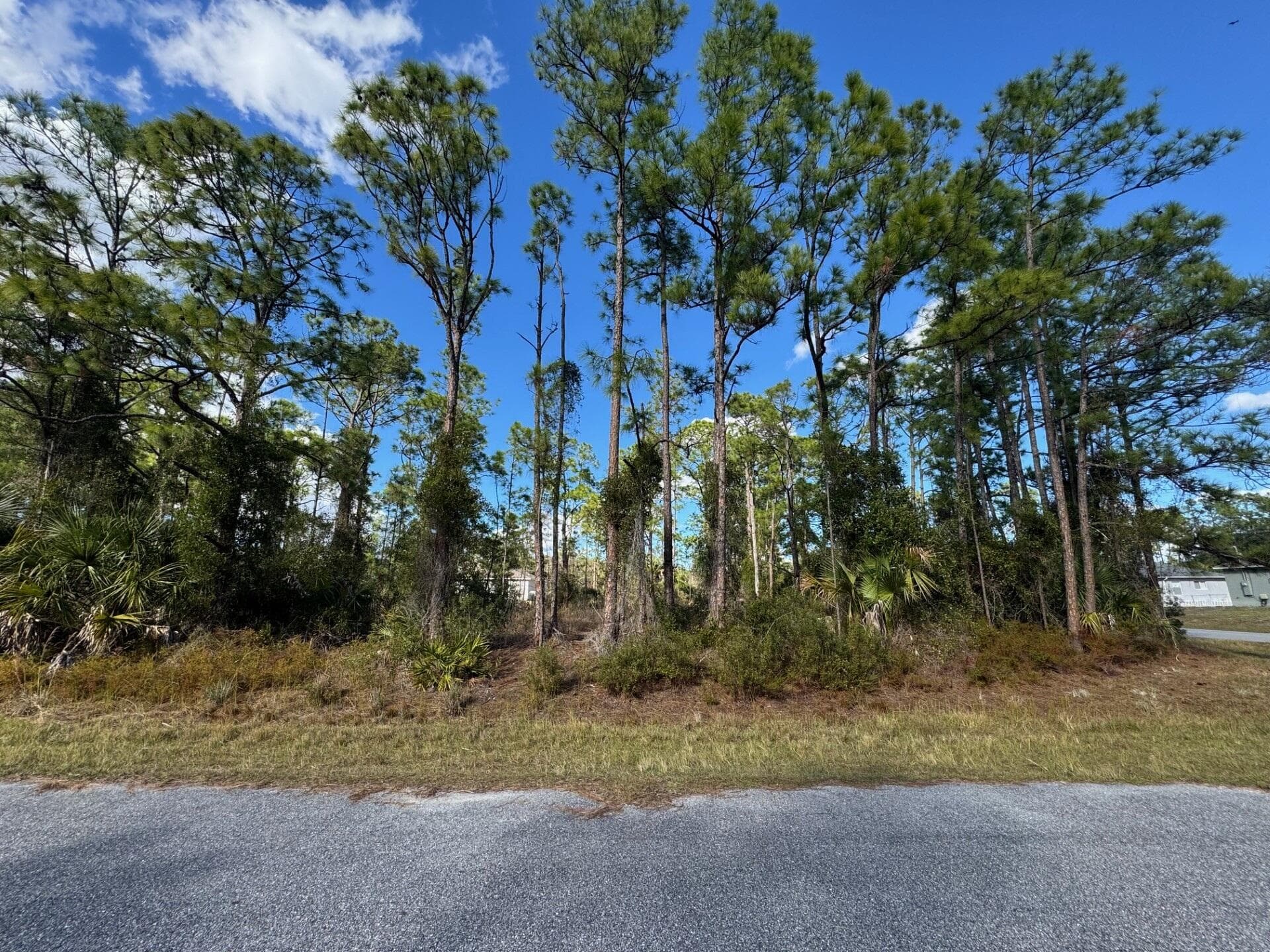 Tba Sturrup Street, North Port, FL 34291 — photo 10 of 12