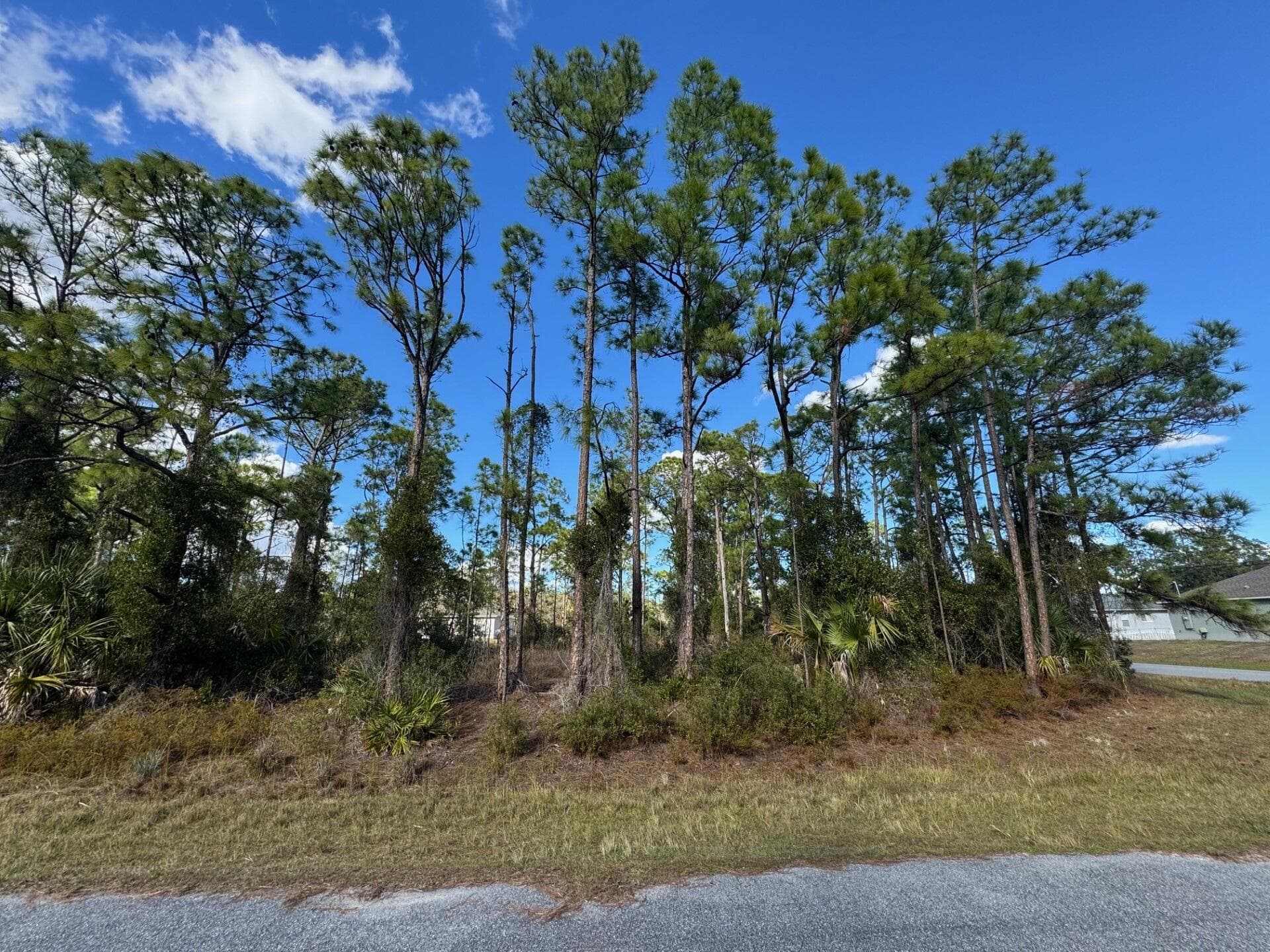 Tba Sturrup Street, North Port, FL 34291 — photo 11 of 12