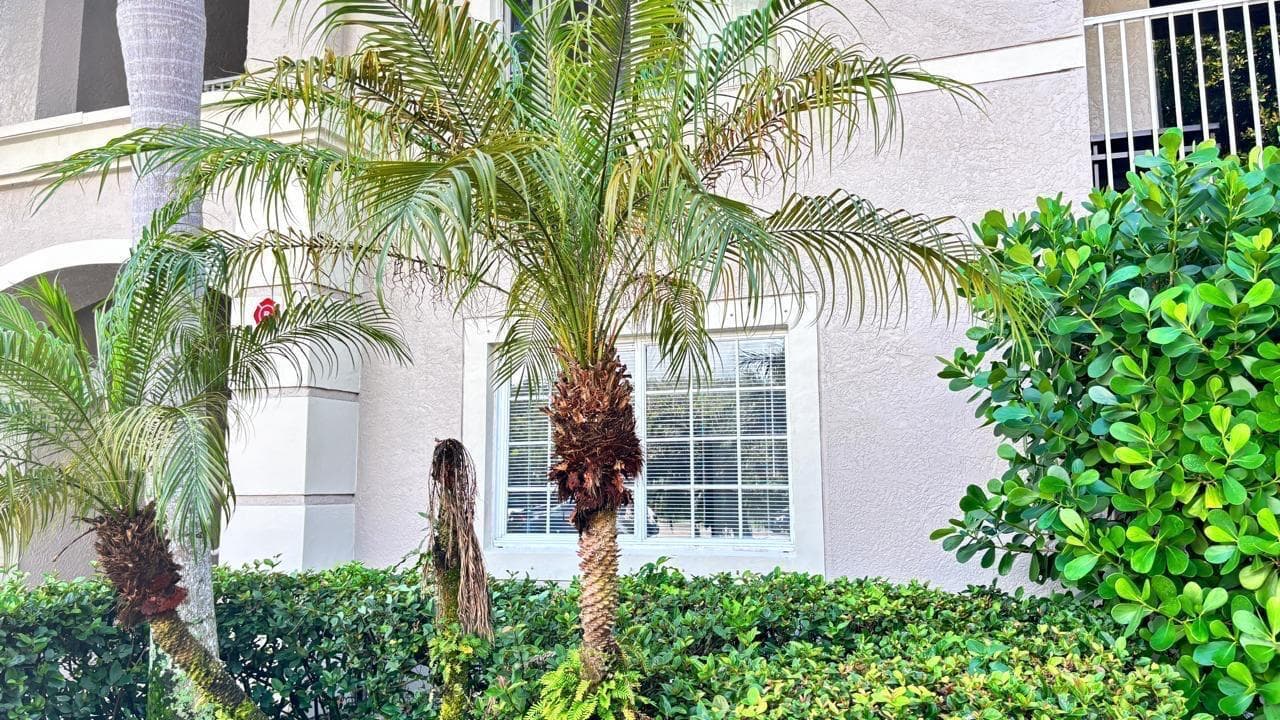 5025 Wiles Road 107, Coconut Creek, FL 33073 — photo 30 of 31