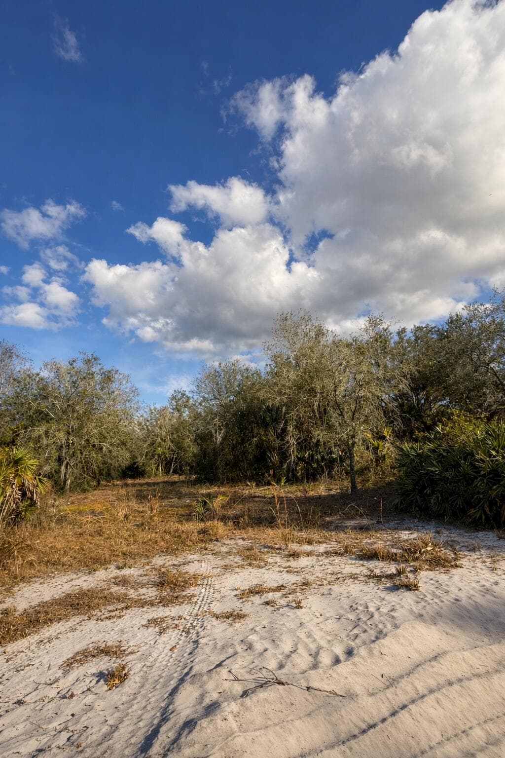 0 NW 294th, Okeechobee, FL 34974 — photo 4 of 5