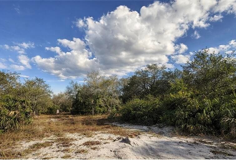 0 NW 294th, Okeechobee, FL 34974 — photo 5 of 5