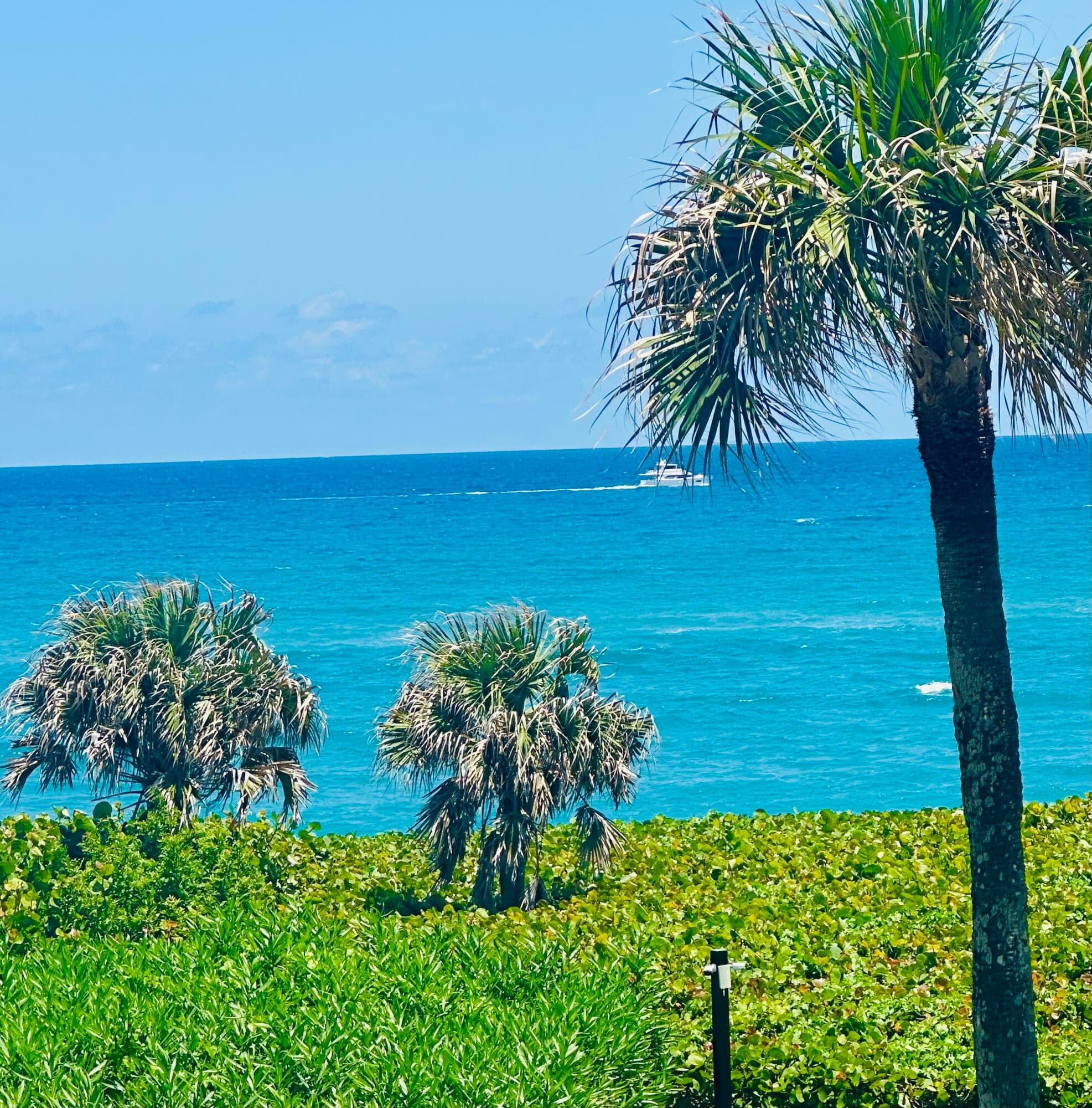 420 Celestial Way 301, Juno Beach, FL 33408 — photo 71 of 73