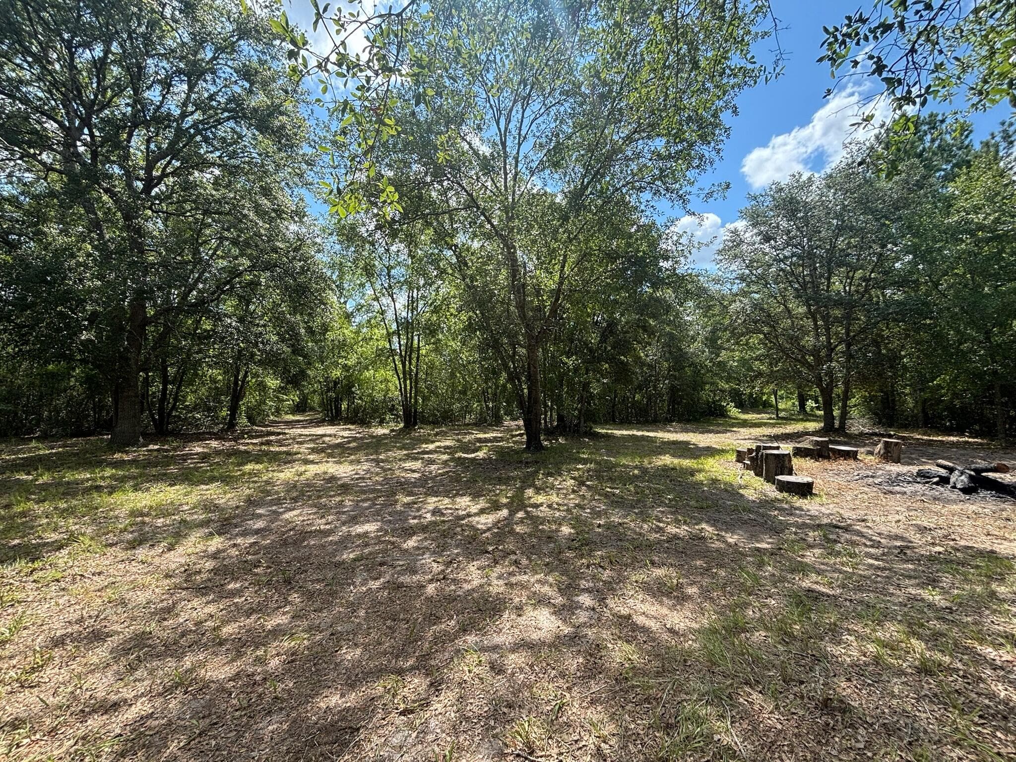 423 NW Bright Lake Court, White Springs, FL 32096 — photo 19 of 30