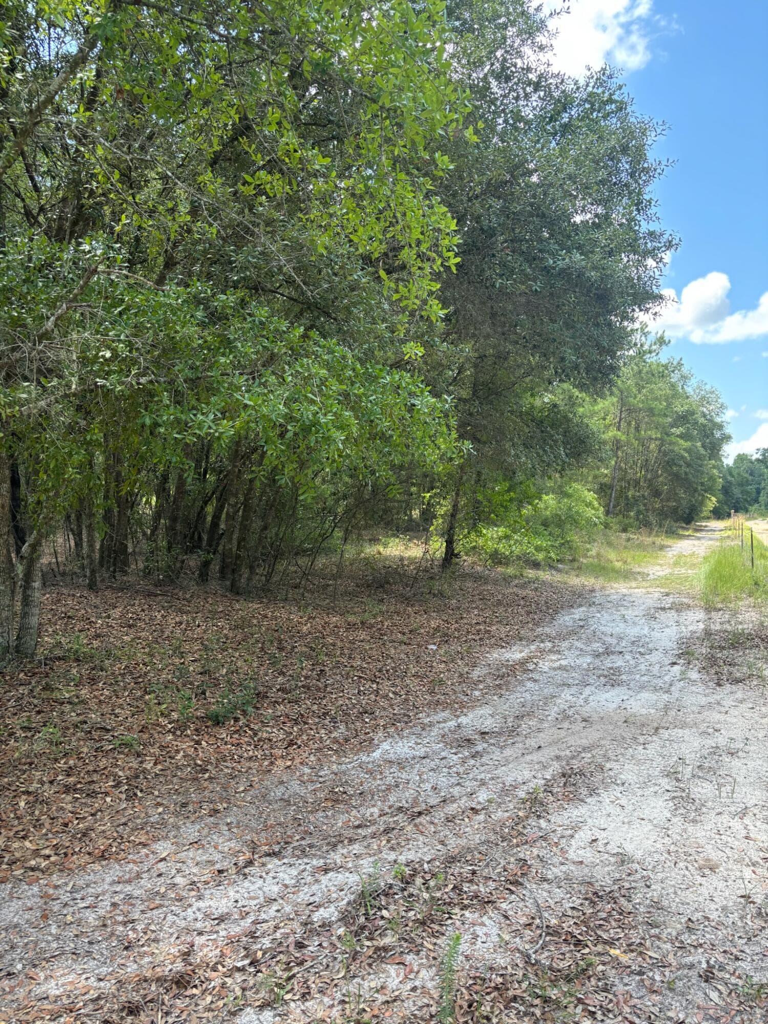 423 NW Bright Lake Court, White Springs, FL 32096 — photo 28 of 30