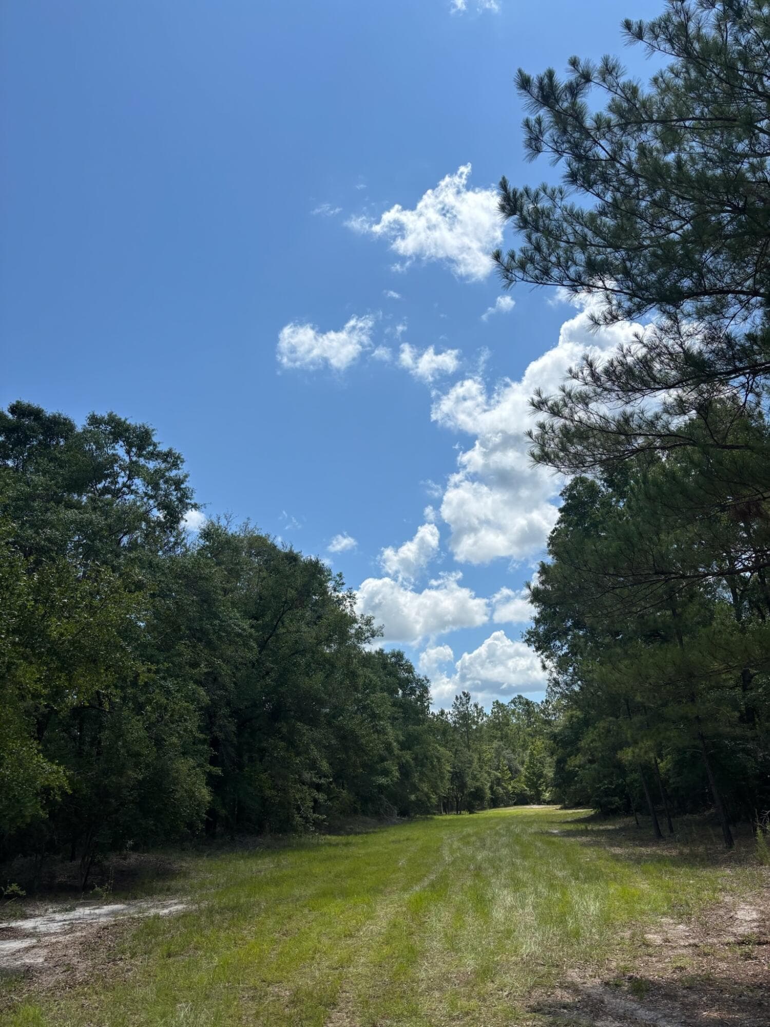 423 NW Bright Lake Court, White Springs, FL 32096 — photo 29 of 30