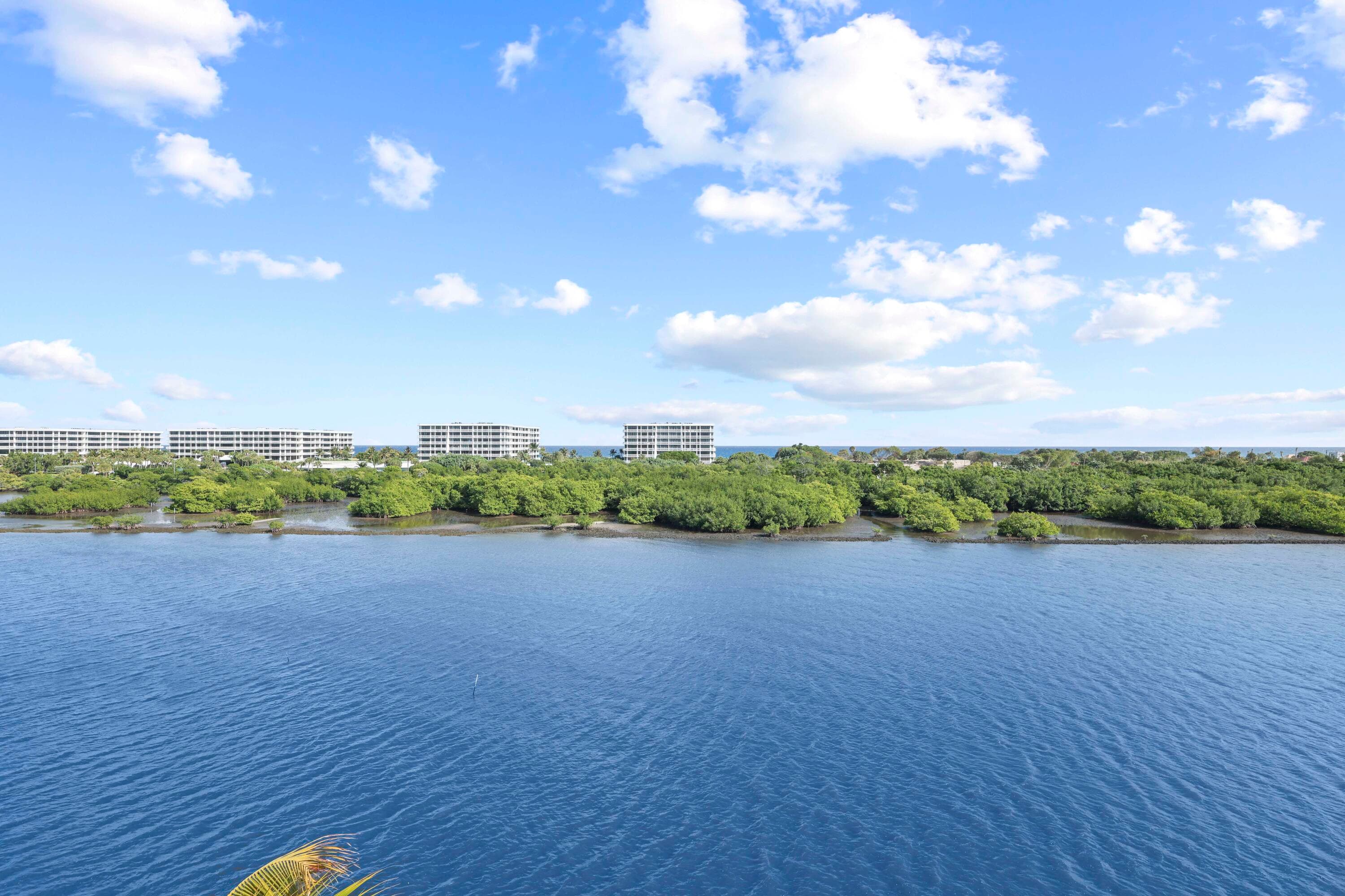 2155 Ibis Isle Road Ph 3, Palm Beach, FL 33480 — photo 14 of 42