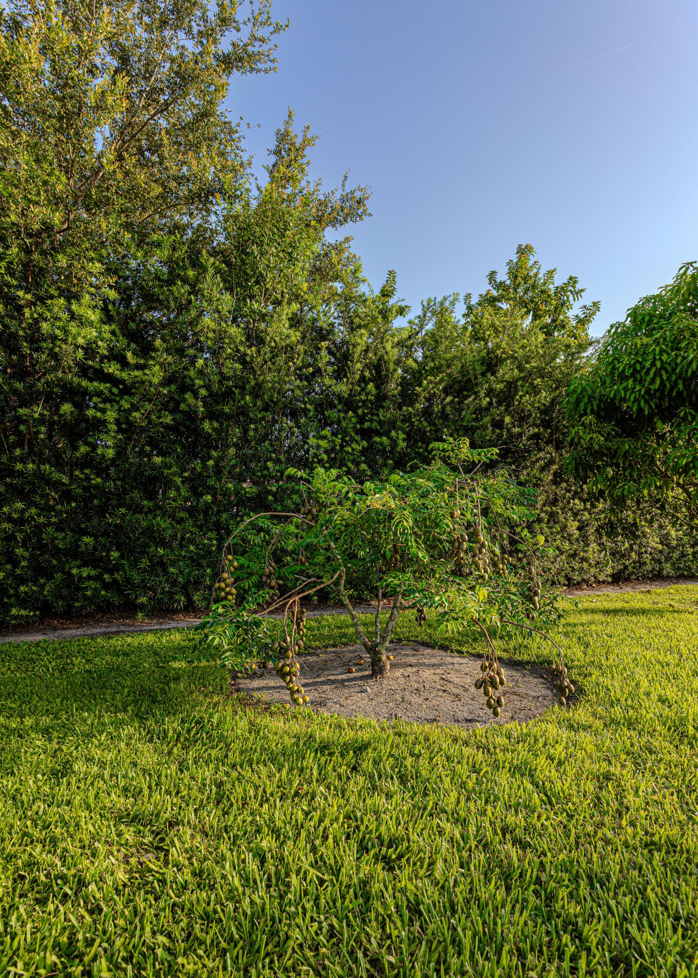 875 NW 120th Avenue, Plantation, FL 33325 — photo 91 of 92