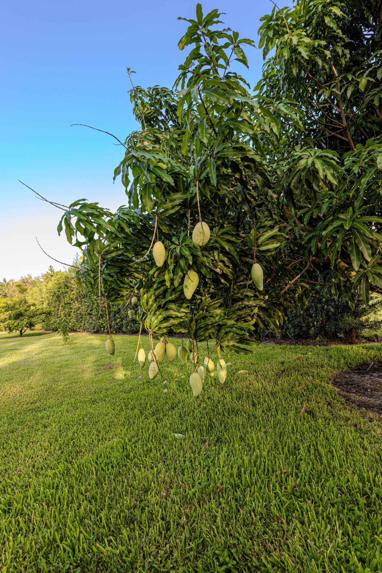 875 NW 120th Avenue, Plantation, FL 33325 — photo 90 of 92