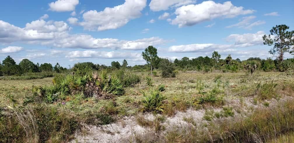 16963 NW 292nd Street, Okeechobee, FL 34972 — photo 2 of 6