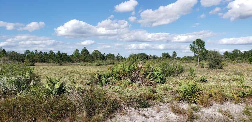 16963 NW 292nd Street, Okeechobee, FL 34972 — photo 3 of 6