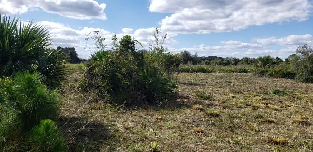16963 NW 292nd Street, Okeechobee, FL 34972 — photo 4 of 6