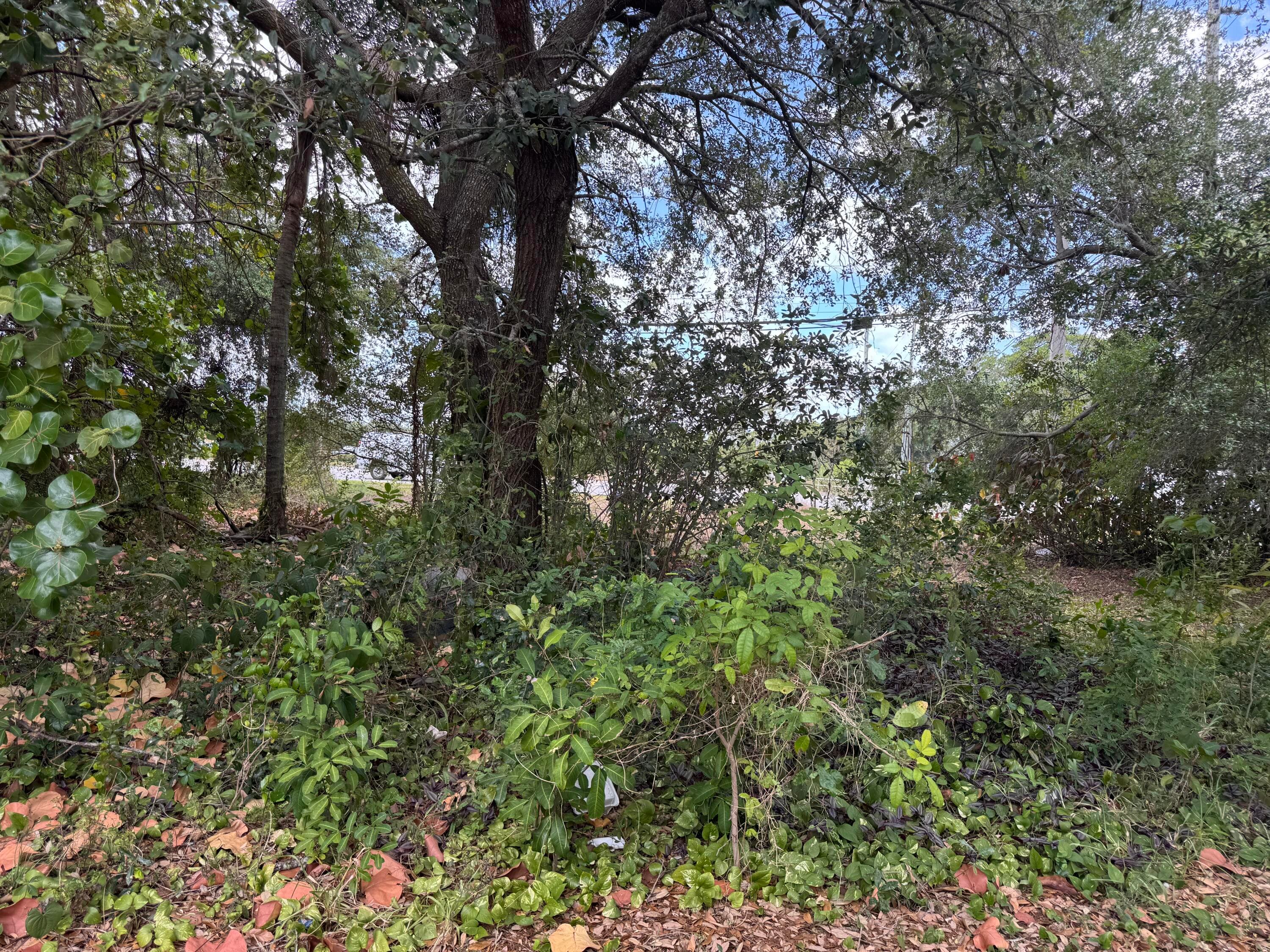 3358 S Jog Road, Greenacres, FL 33467 — photo 16 of 25