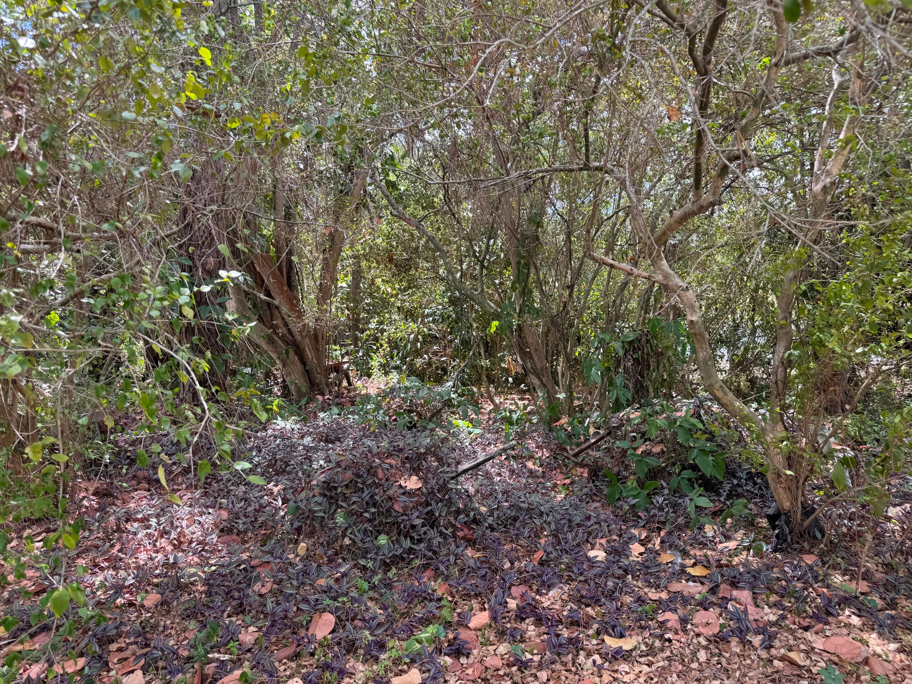 3358 S Jog Road, Greenacres, FL 33467 — photo 21 of 25
