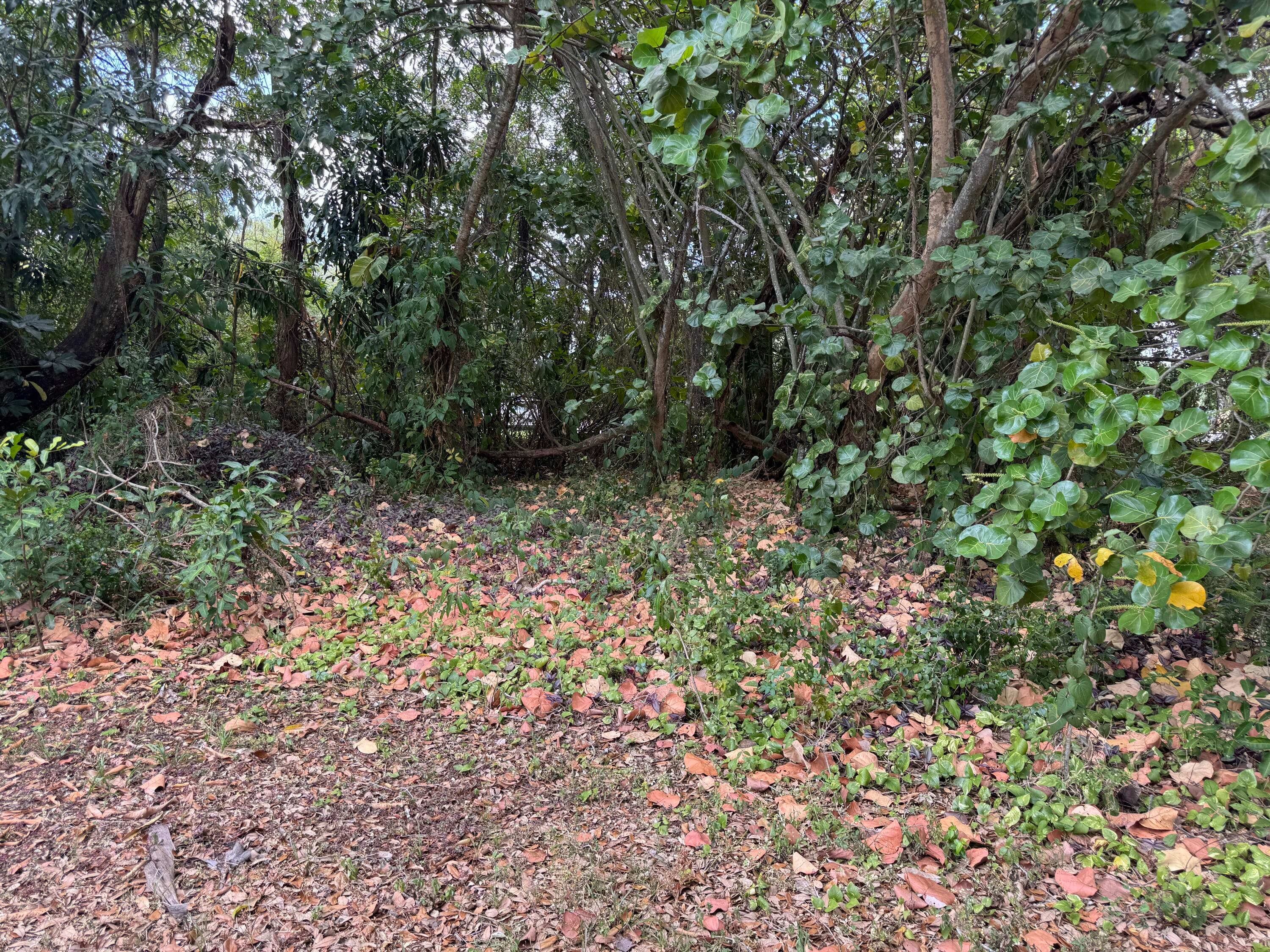 3358 S Jog Road, Greenacres, FL 33467 — photo 8 of 16