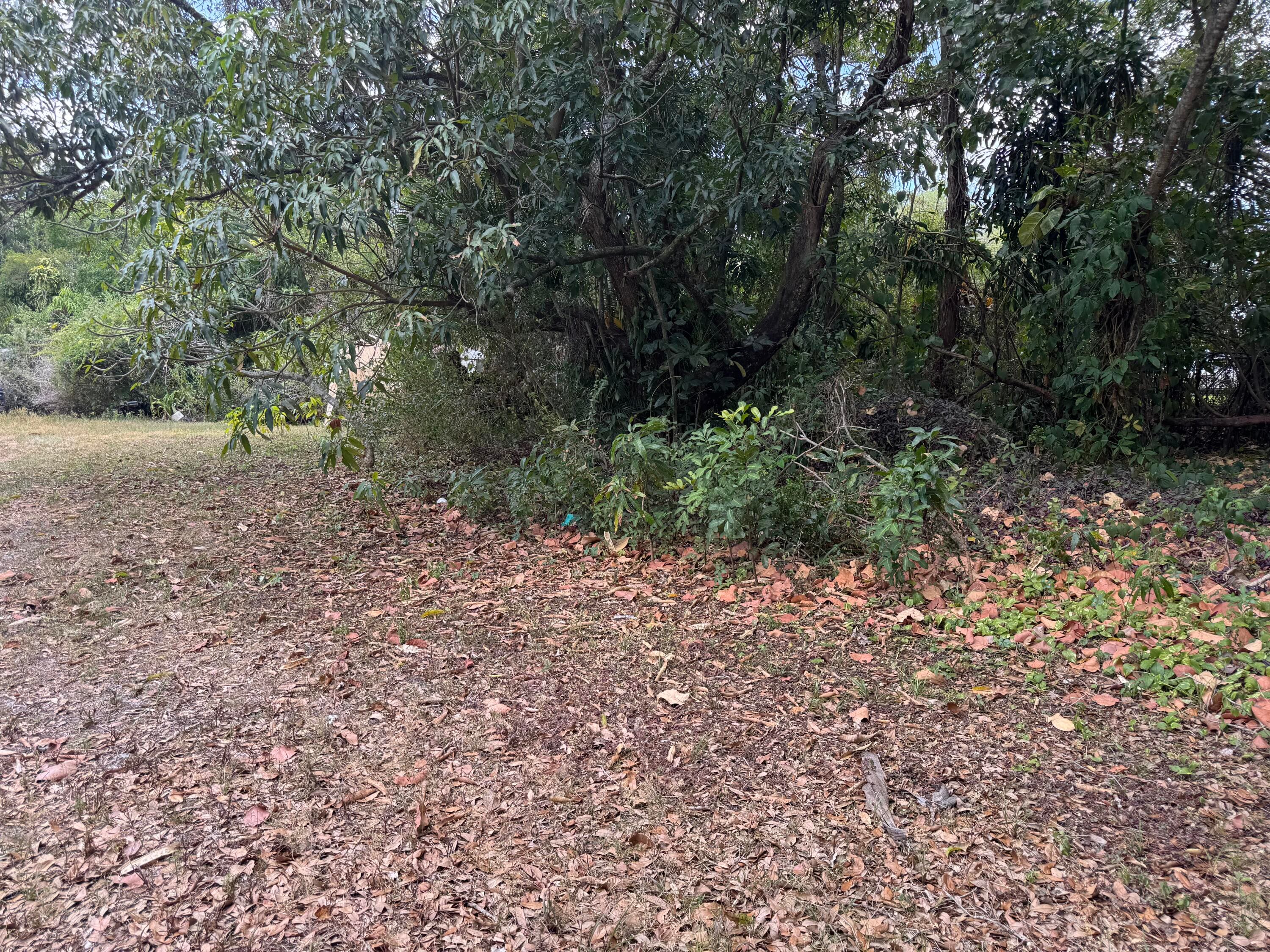 3358 S Jog Road, Greenacres, FL 33467 — photo 9 of 16