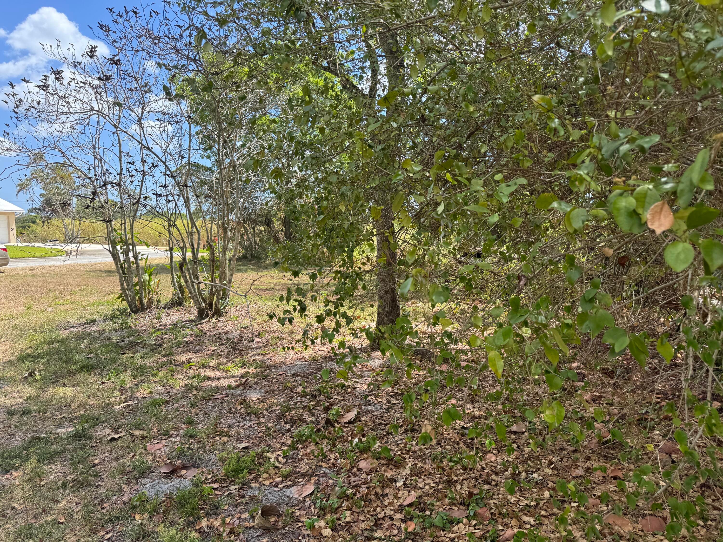 3358 S Jog Road, Greenacres, FL 33467 — photo 14 of 16