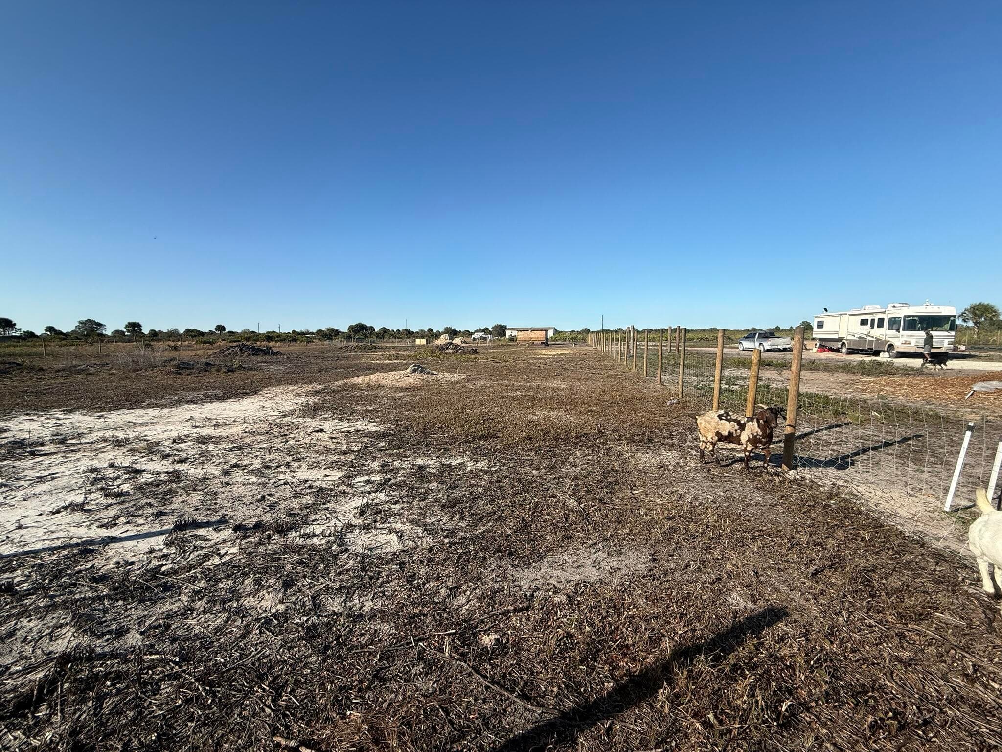 21377 NW 276th Street, Okeechobee, FL 34972 — photo 7 of 23