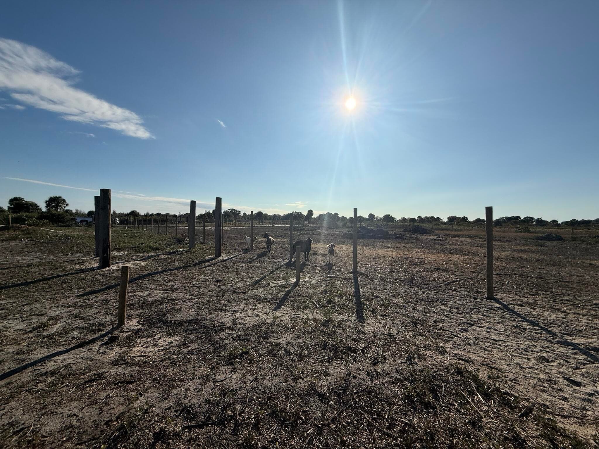 21377 NW 276th Street, Okeechobee, FL 34972 — photo 18 of 23