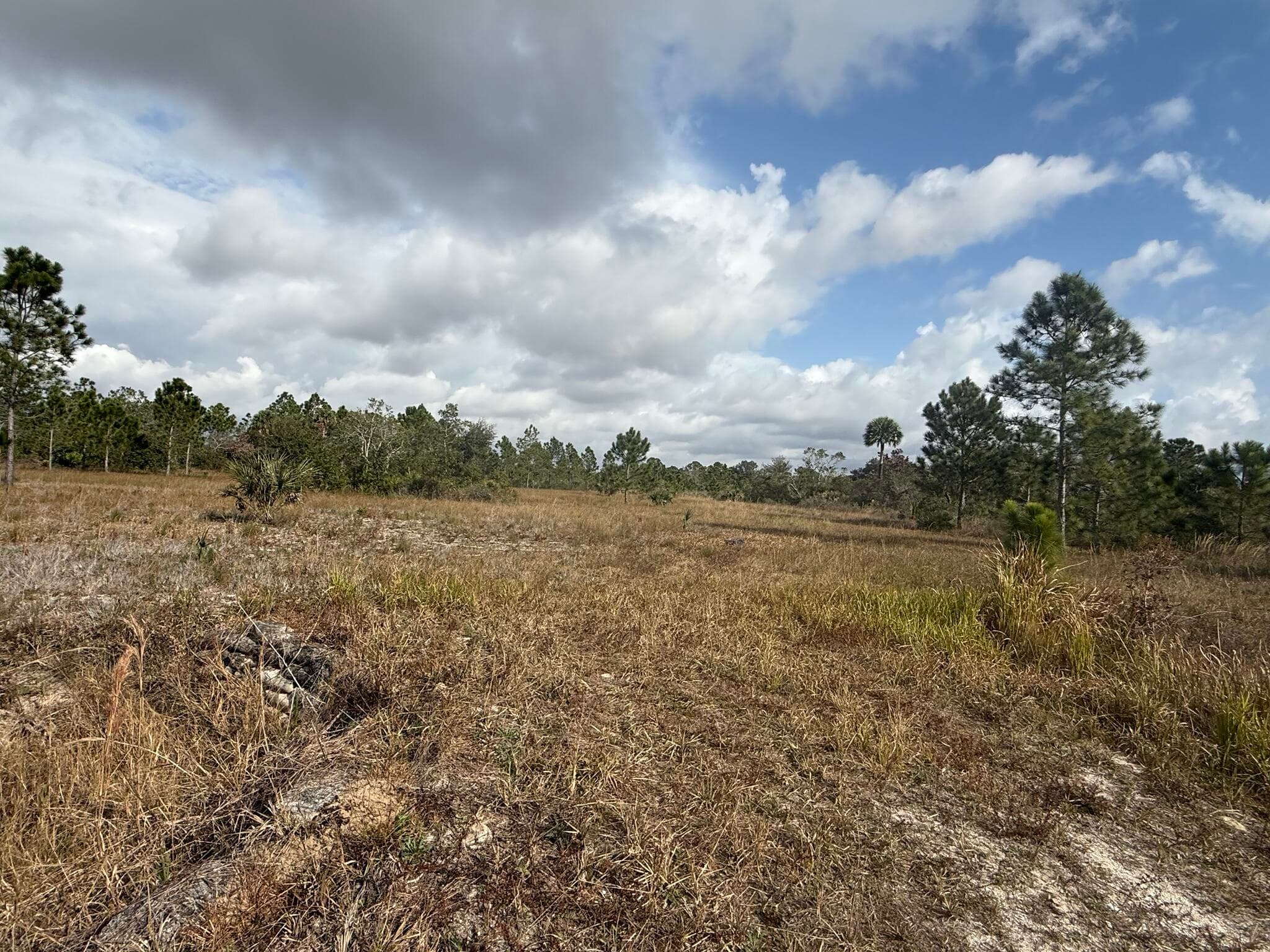 16375 NW 314th Street, Okeechobee, FL 34972 — photo 3 of 13
